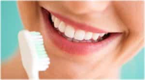 The Anatomy Of The Tooth Mountain View Dental Tooth Pleasant View UT