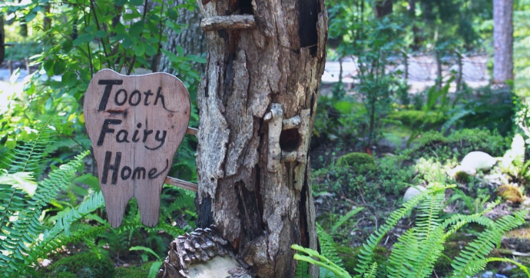 tooth fairy traditions Mountain View Dental Pleasant View UT